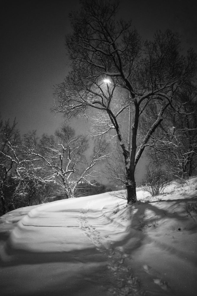 Photograph by Сергей Пермин