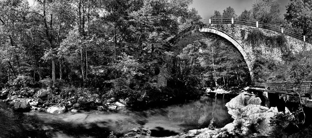 Photograph by MIHALIS KONSTANDINIDIS