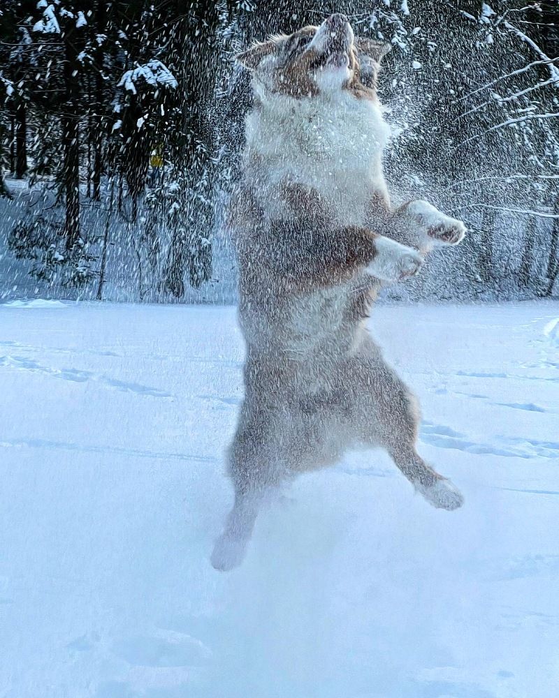 Photograph by Мария Гончарова