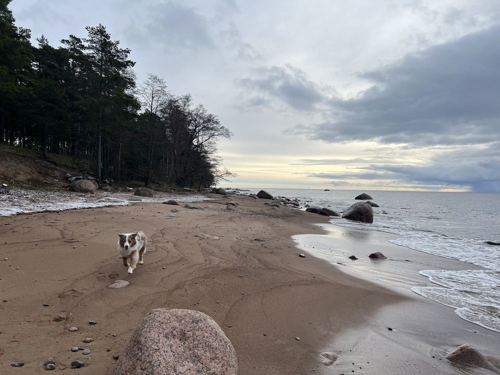 Photograph by Мария Гончарова