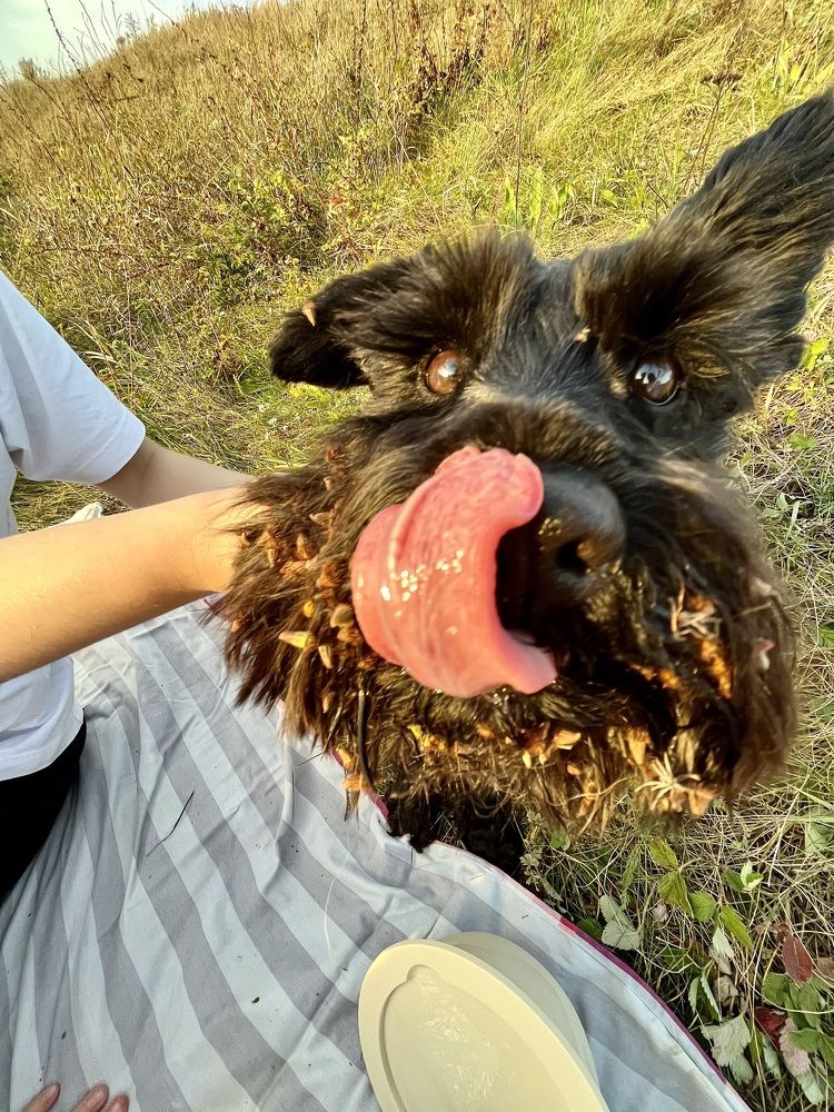 Photograph by Николай Хрупов