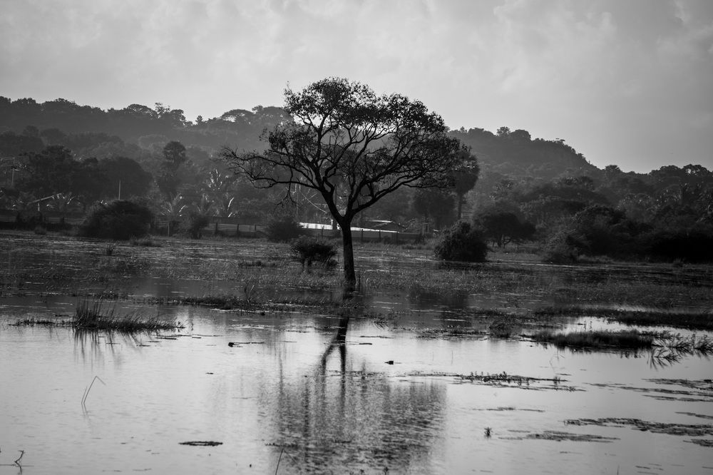 Photograph by Yogarajah Jathumilan