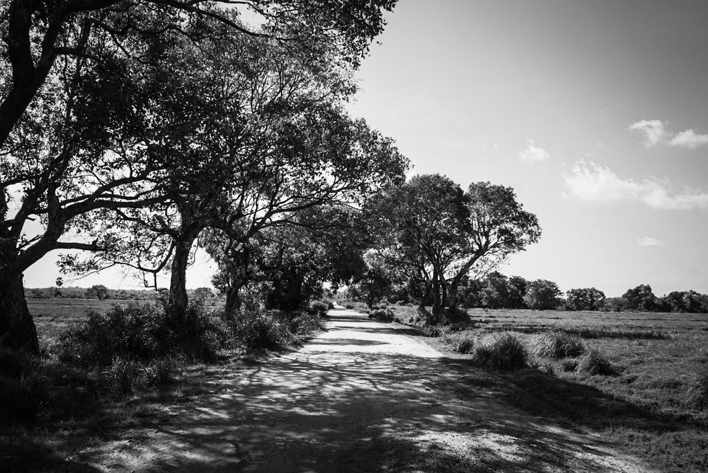 Photograph by Yogarajah Jathumilan