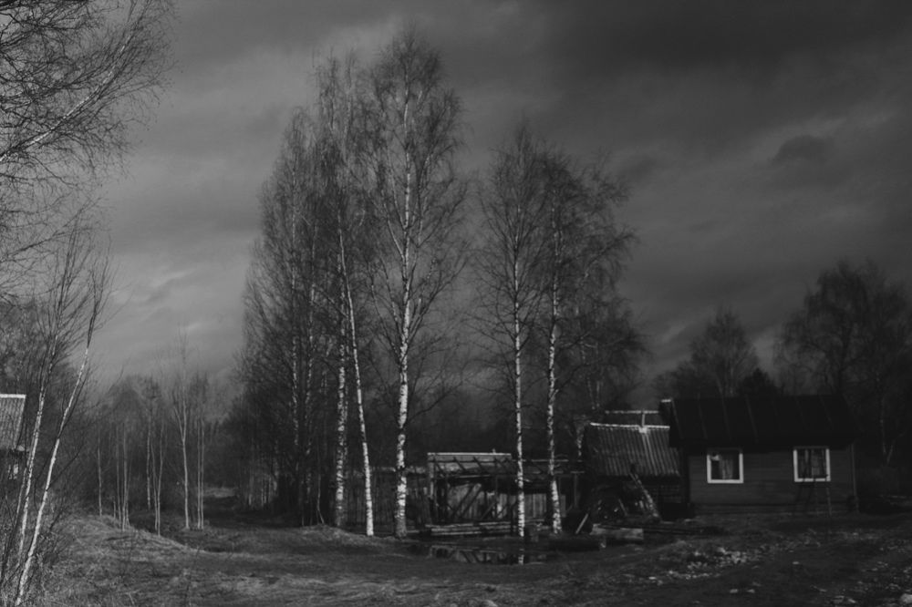 Photograph by Елена Наленч