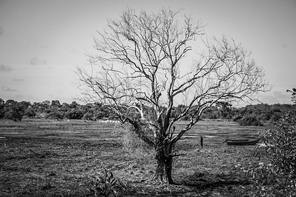 Photograph by Yogarajah Jathumilan