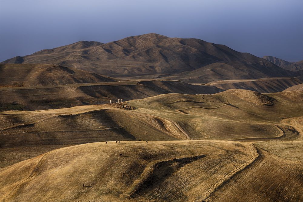 Палитра поздней осени