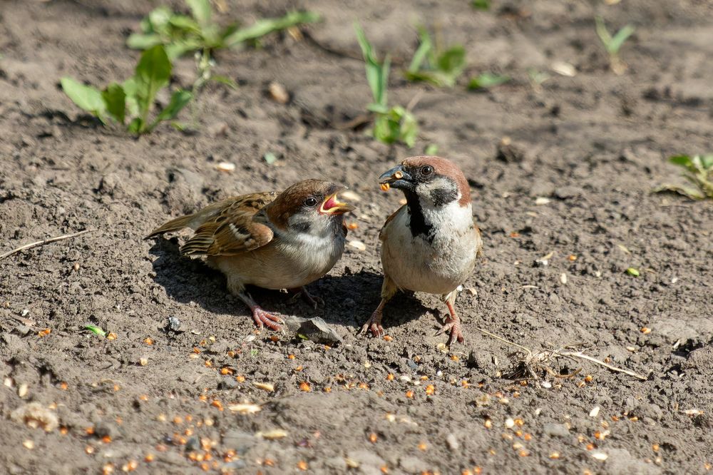 Photograph by Андрей Иванов