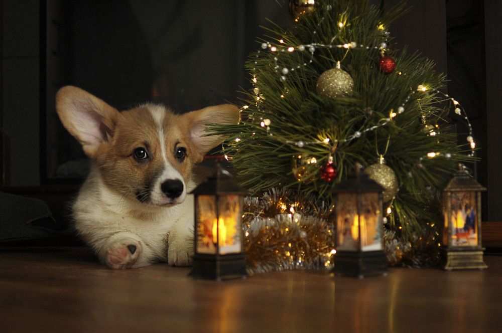 Photograph by Ирина Тертышникова