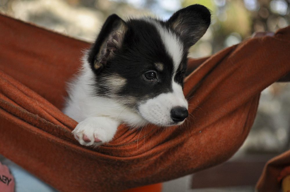 Photograph by Ирина Тертышникова