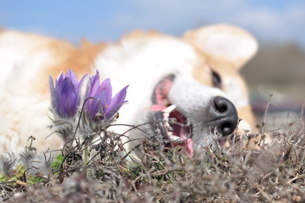 Photograph by Ирина Тертышникова