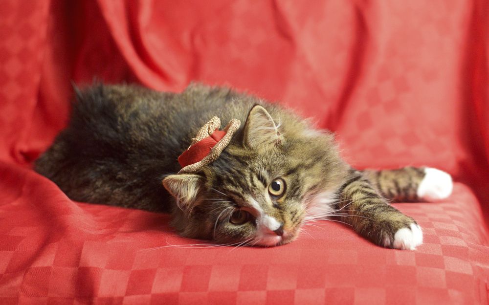 Photograph by Леонид Безручко