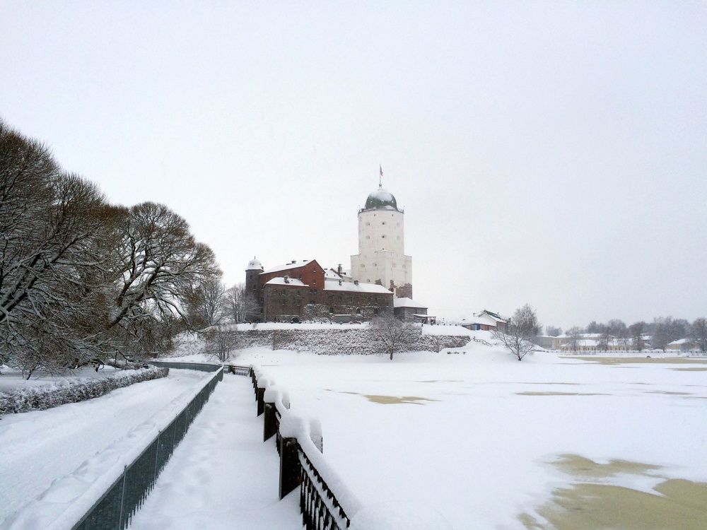 Photograph by Александр Новиков