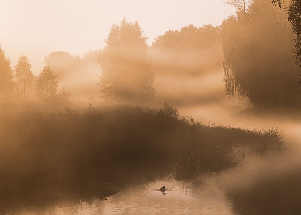 Photograph by Константин Гончаров