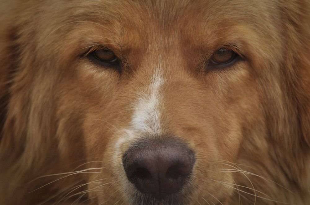 Photograph by Ирина Тертышникова