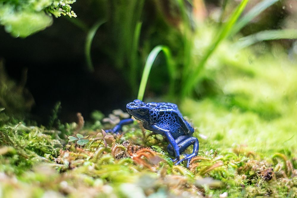 Photograph by Дина