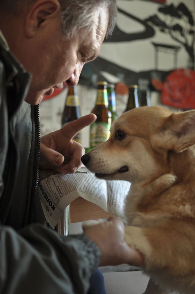 Хорошо сидим