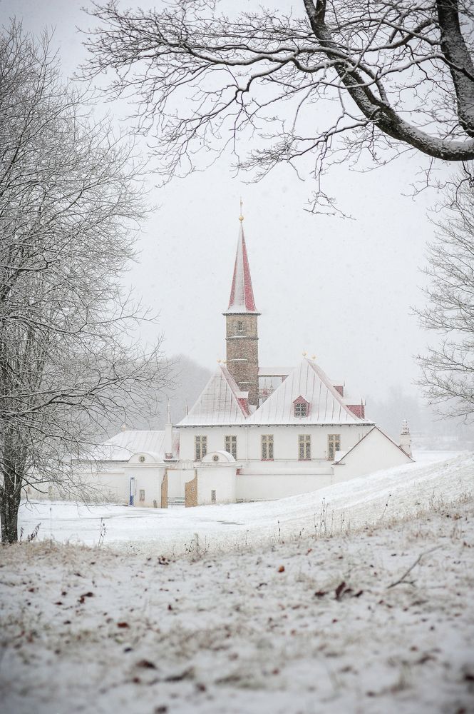 Фотография автора Альбина Хальяк