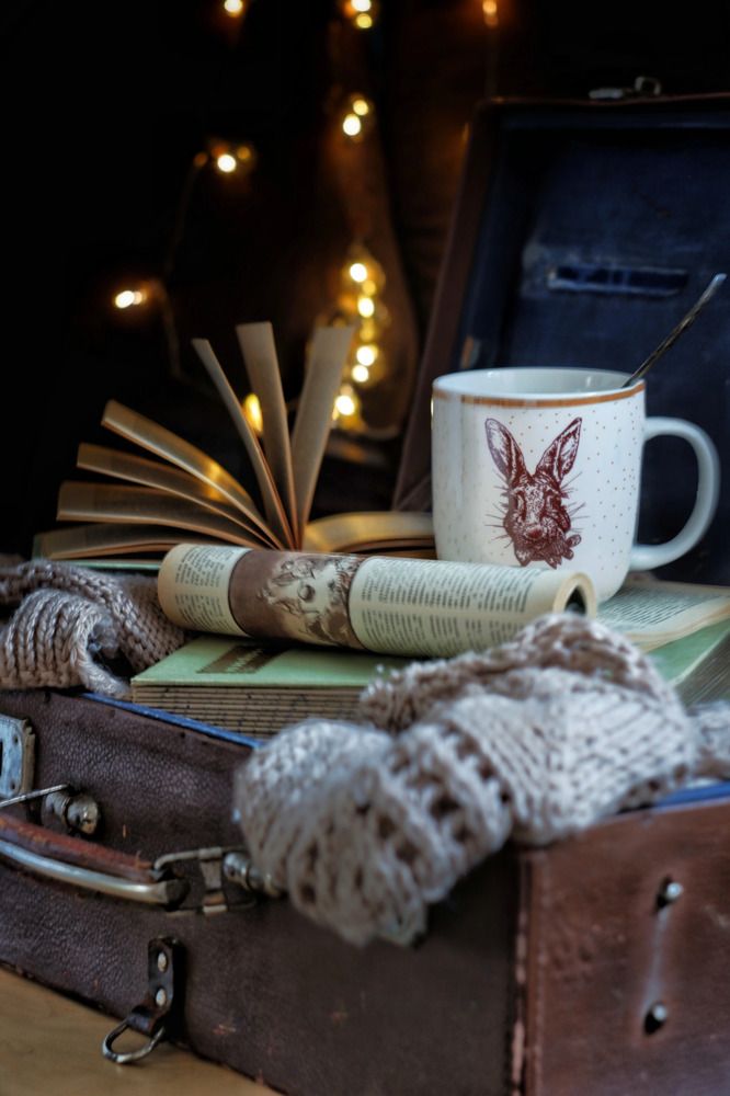 Фотография автора Екатерина Карасева