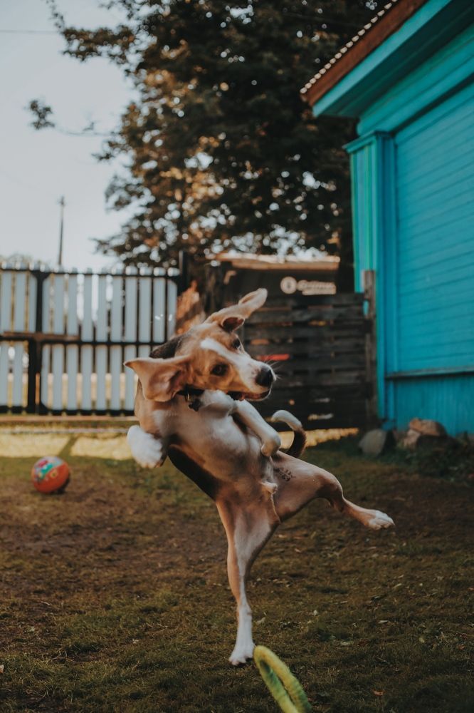 Фотография автора Екатерина Устинкина