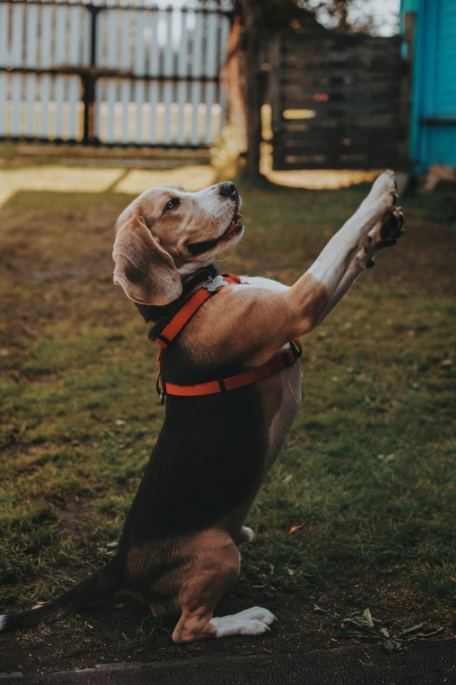 Фотография автора Екатерина Устинкина