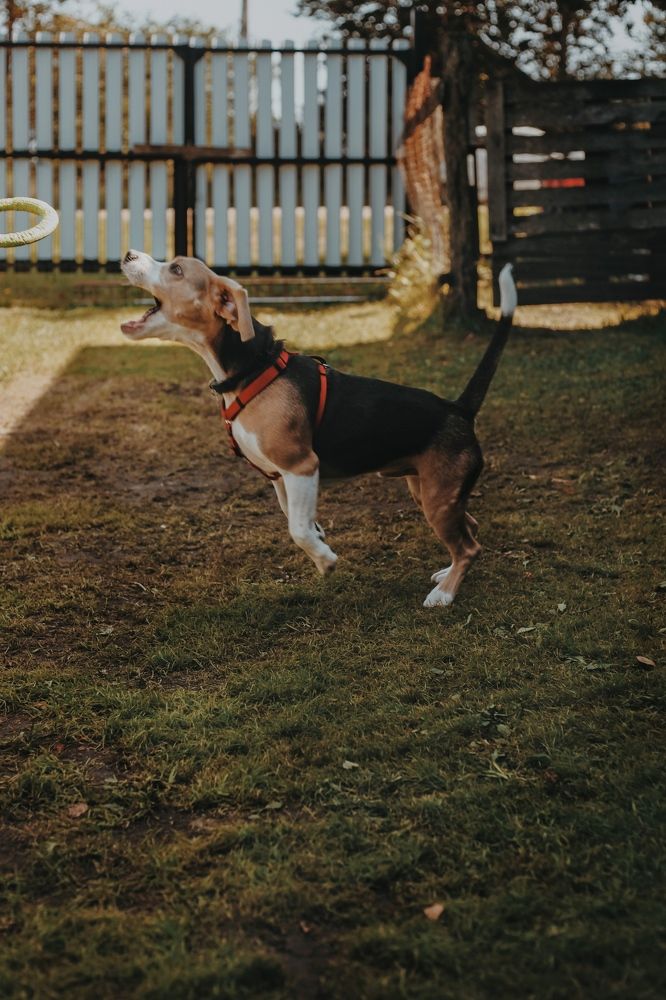 Фотография автора Екатерина Устинкина