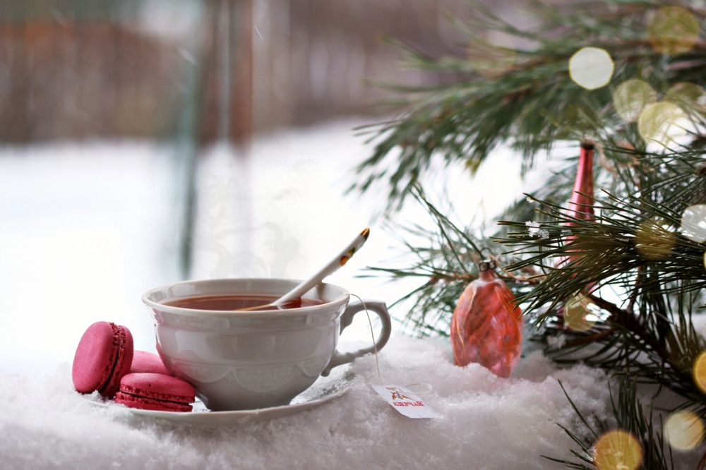 Фотография автора Екатерина Карасева