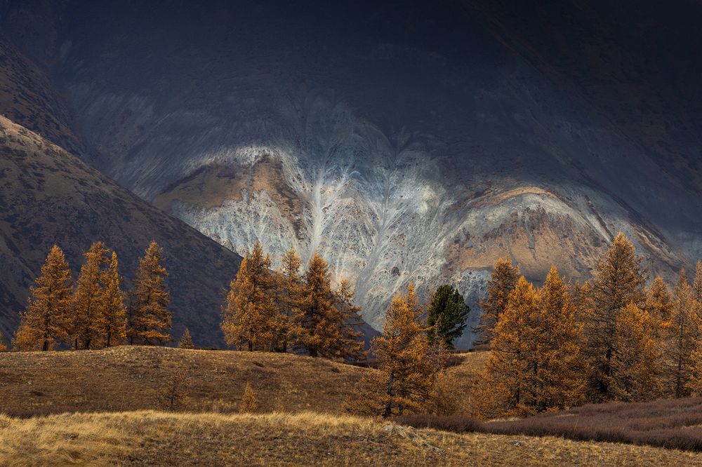 Они следят за нами.