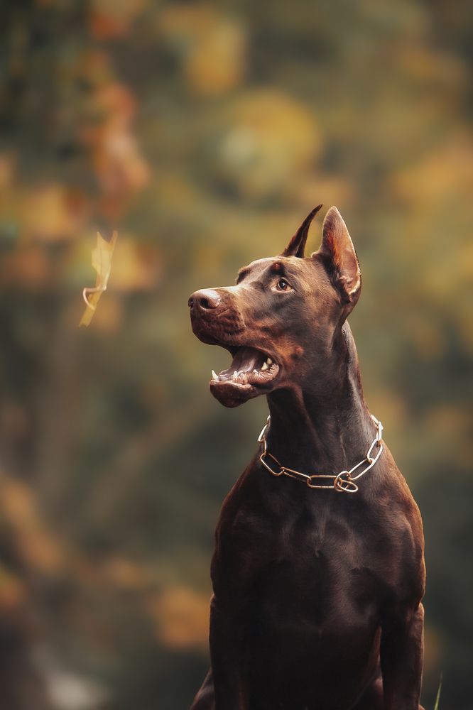 Photograph by Мария Клещенко