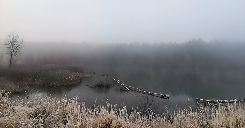 Photograph by Евгения Квятковская