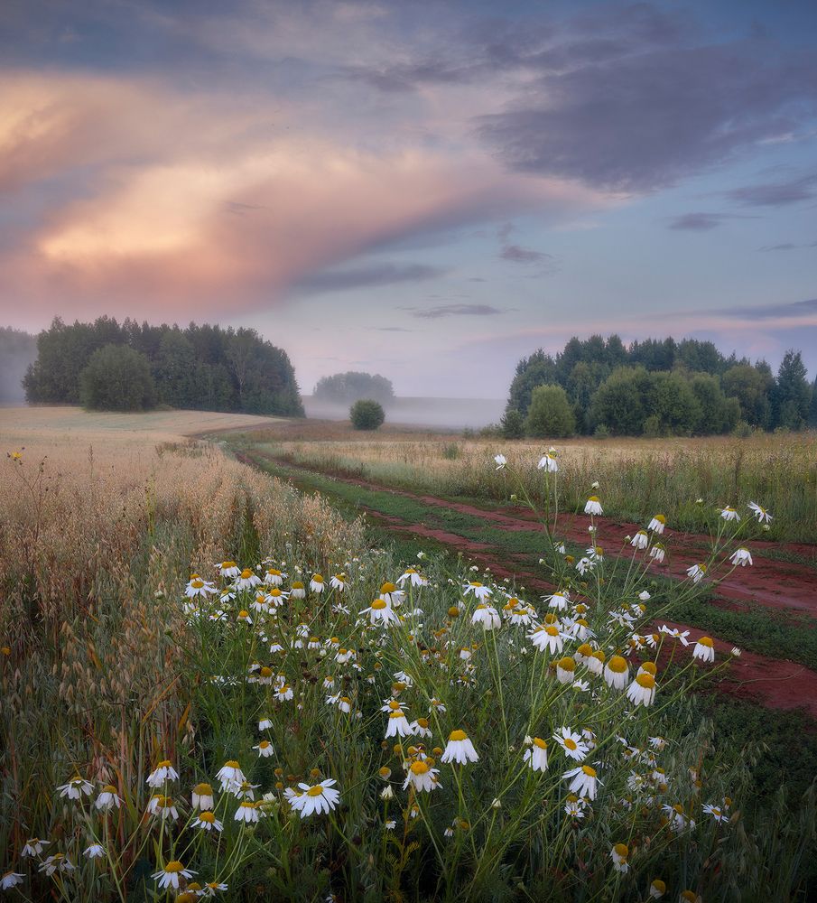 После дождя