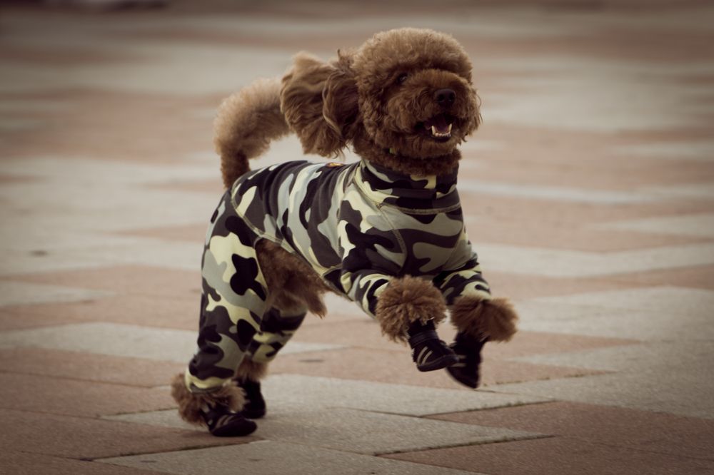 Photograph by Андрей Пучков