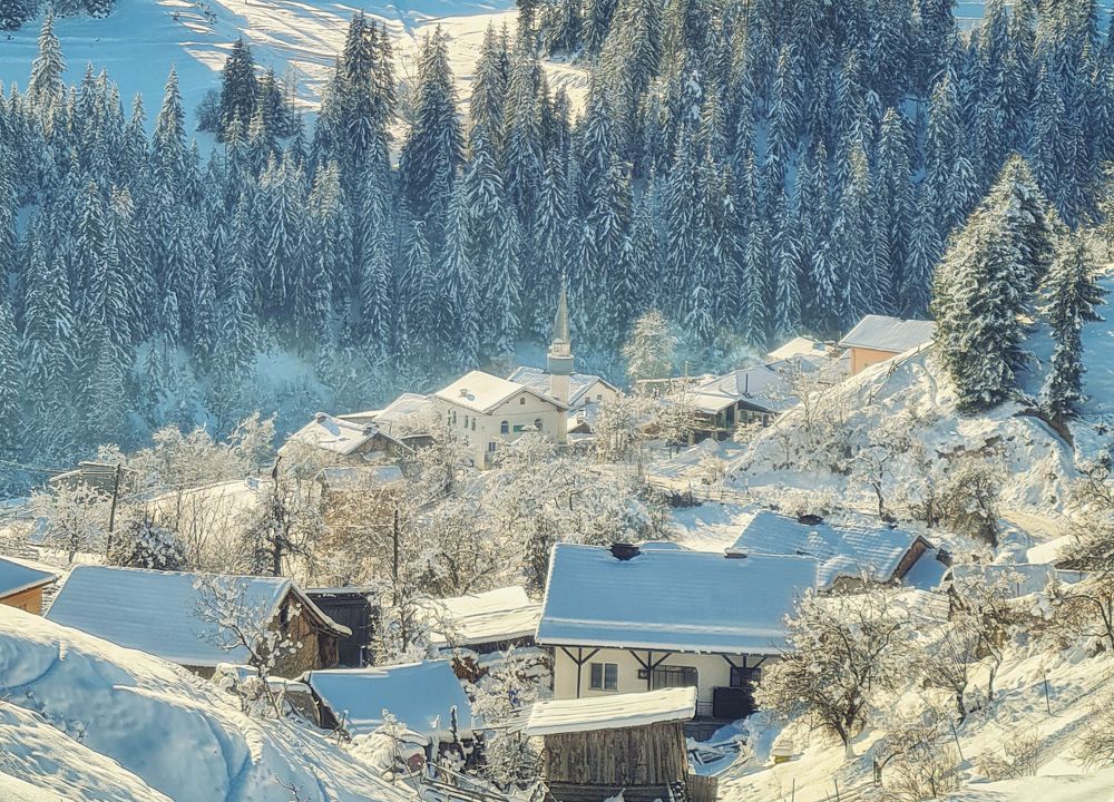 Photograph by Маджаров Костадин