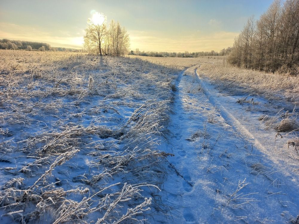 Photo #11623691