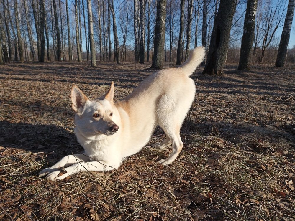 Photograph by Юлия