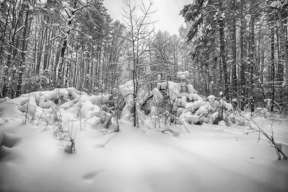 Photograph by Феофанов Николай