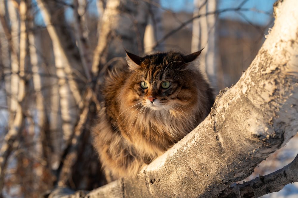 Photograph by Алексей Александрович