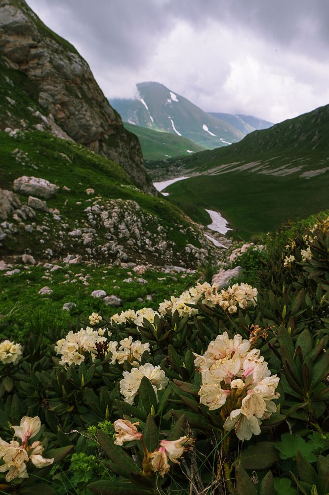 Photograph by Мария Гончарова