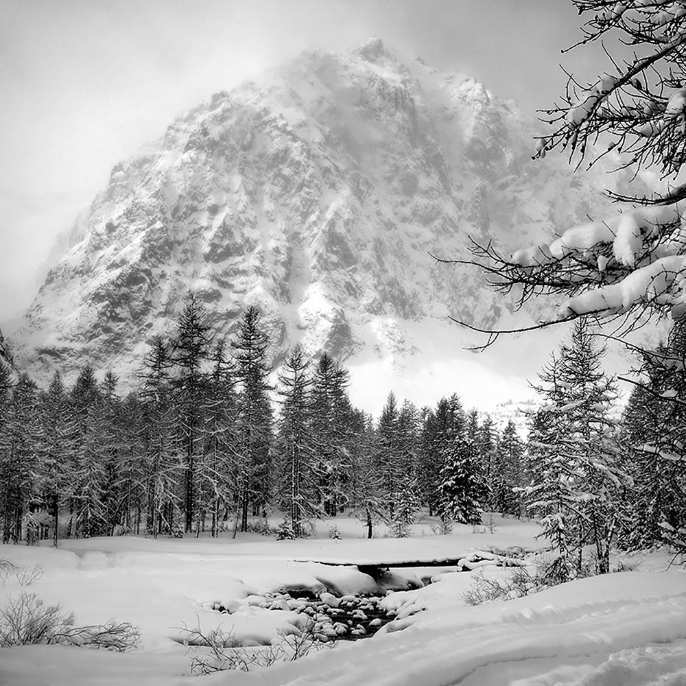 Photograph by Алексей Родак