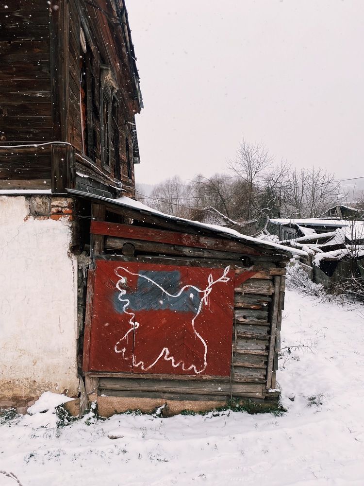 Photograph by Дарья