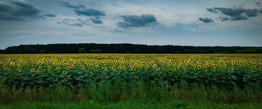 Фотография автора Богдан Кириченко