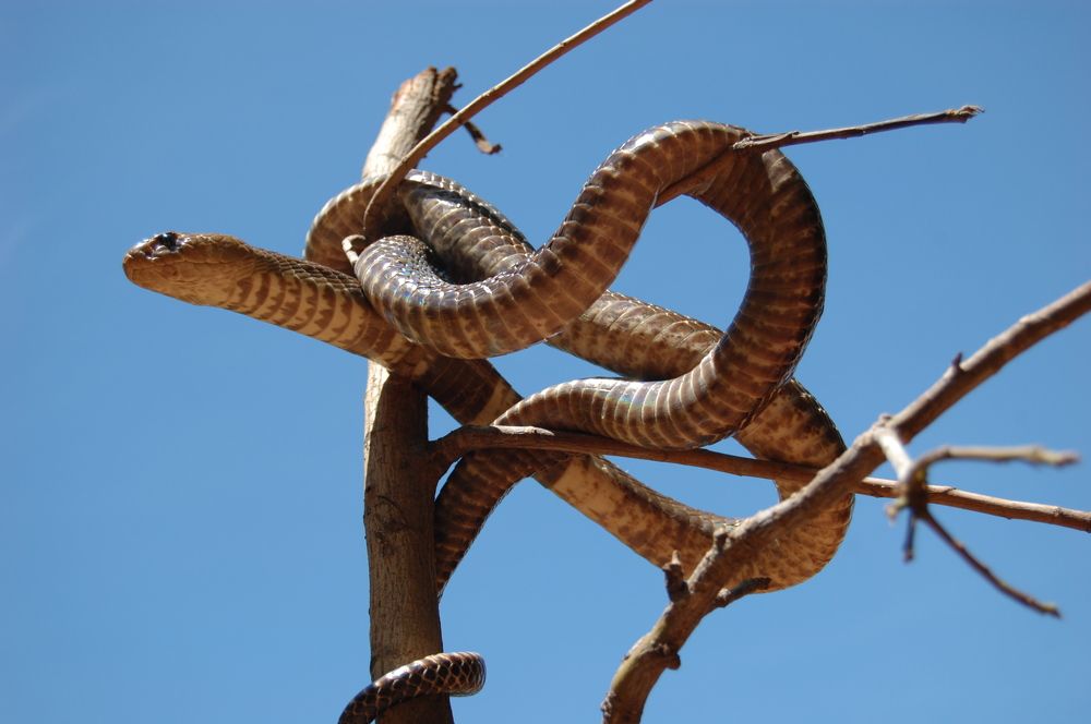 Photograph by SIVAMOORTHY VELMURUGAN