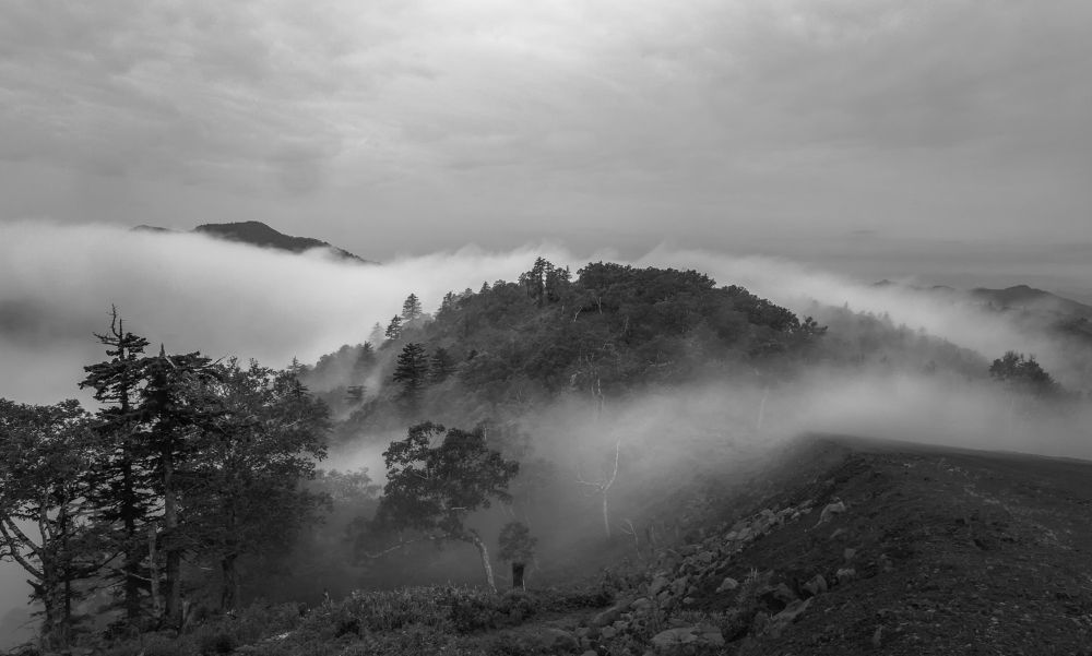 Туманные реки