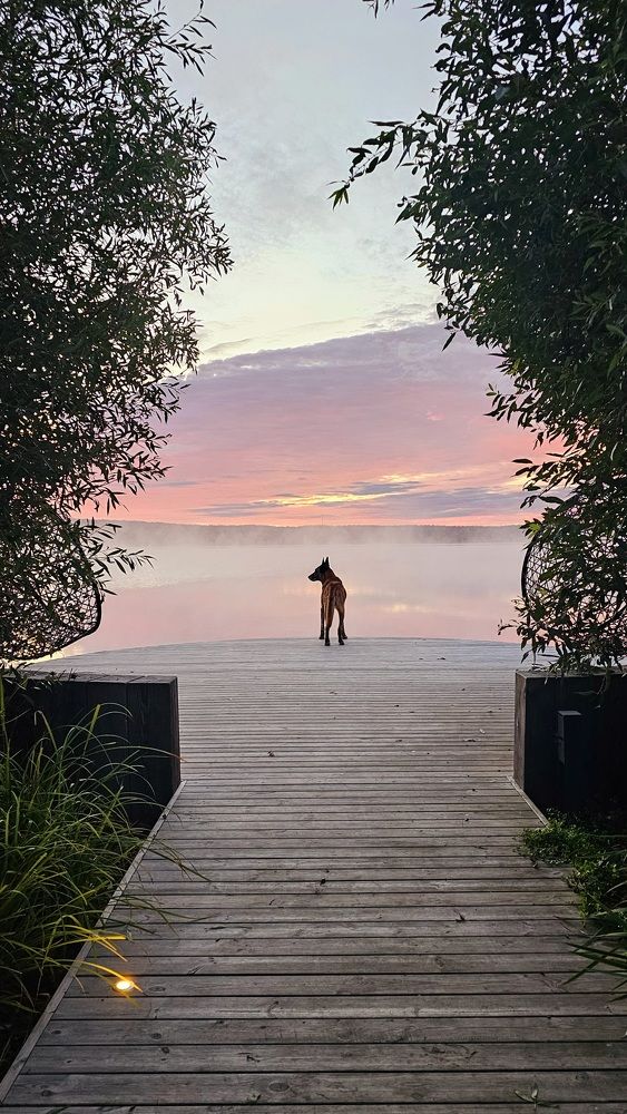 Photograph by Nadezhda