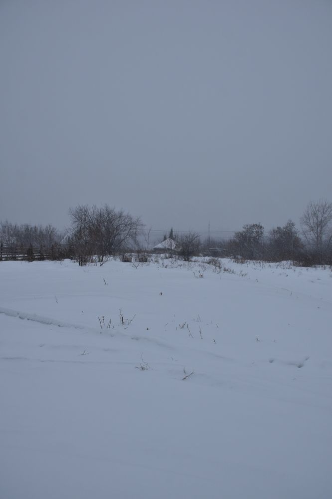 Photograph by Ольга Булдакова