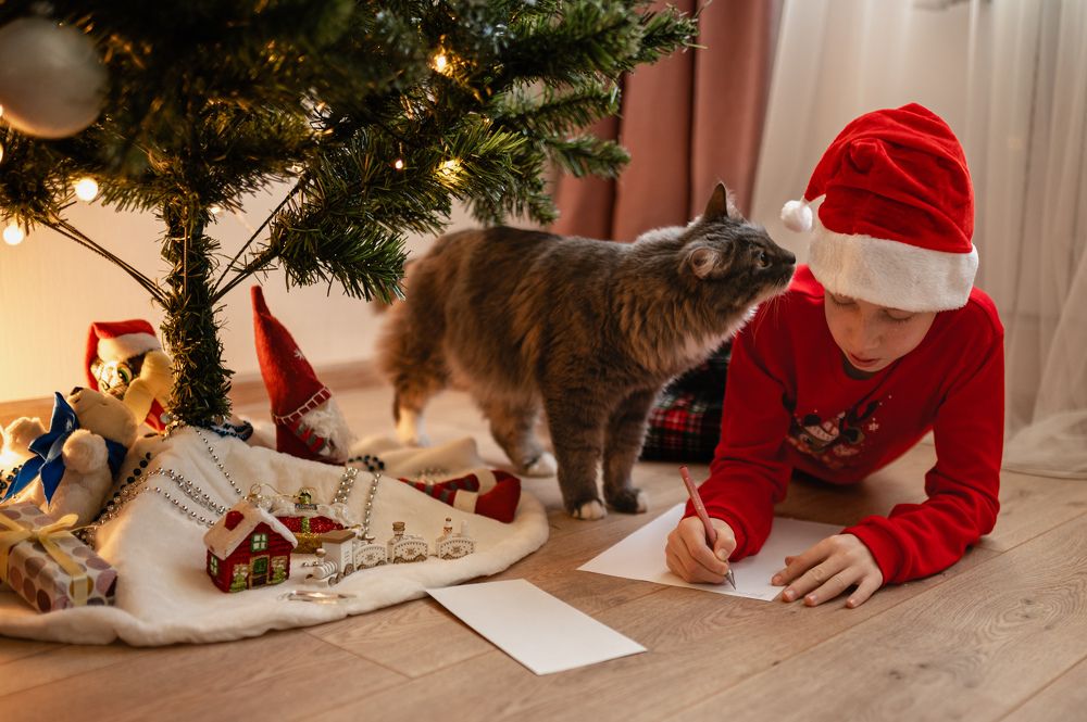 Photograph by Бауэр-Корнева Анна