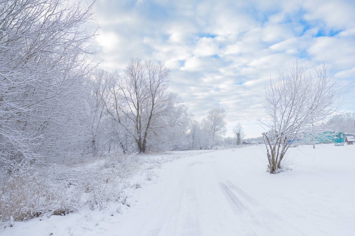 Фотография #11623983