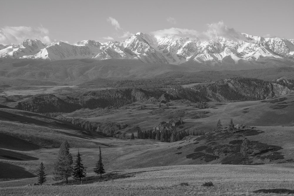 Алтайские просторы