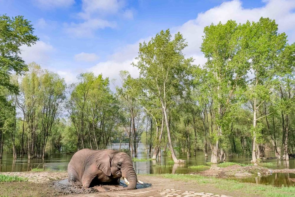 Photograph by Андрей Чернышов