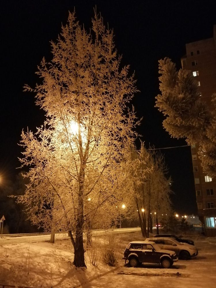 Photograph by Наталья Дубовкина