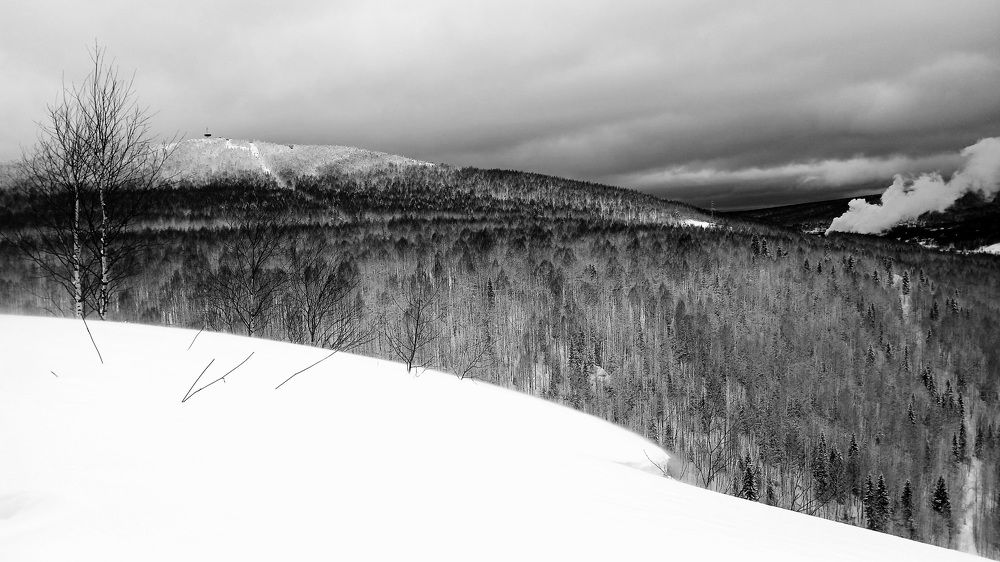 Photograph by Елена Дарьенко